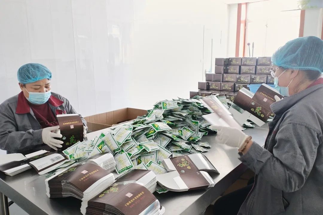 韓家園林業(yè)局 做實“兩山”轉化文章，繪就林下經(jīng)濟發(fā)展新畫卷，助力電子產品銷售