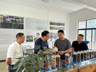 臺江縣林業(yè)產業(yè)與國有林場改革調研 宗煒副局長強調優(yōu)化林業(yè)產品銷售渠道