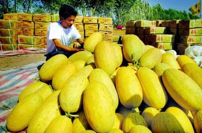援疆風采 步步高援疆行，架起湘吐共富橋