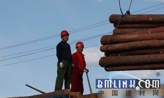 跨界突圍 黑龍江林業(yè)局以電子產(chǎn)品銷售開辟木材市場(chǎng)新路徑